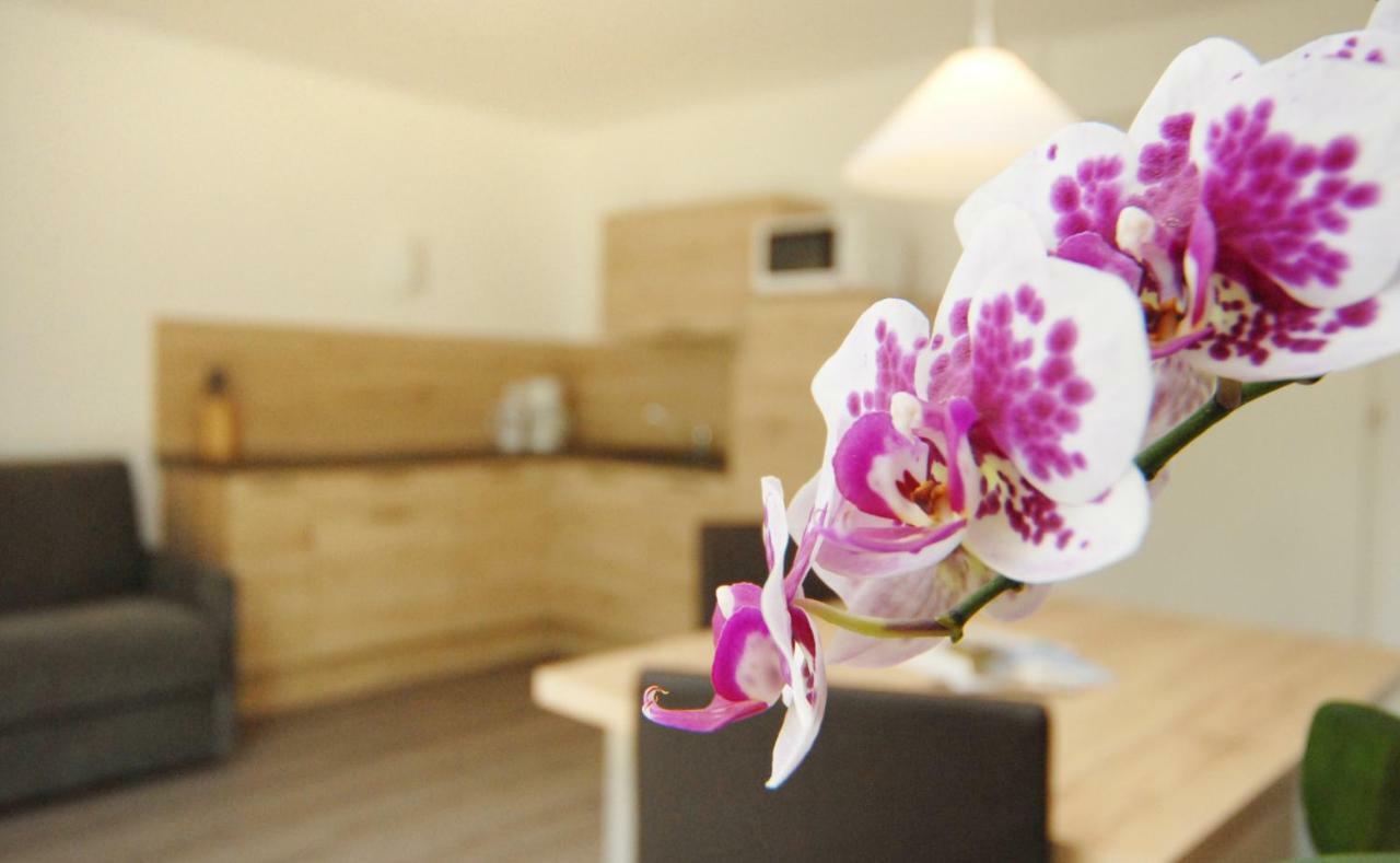 Appartment Charly Alpe di Alpe di Siusi Extérieur photo